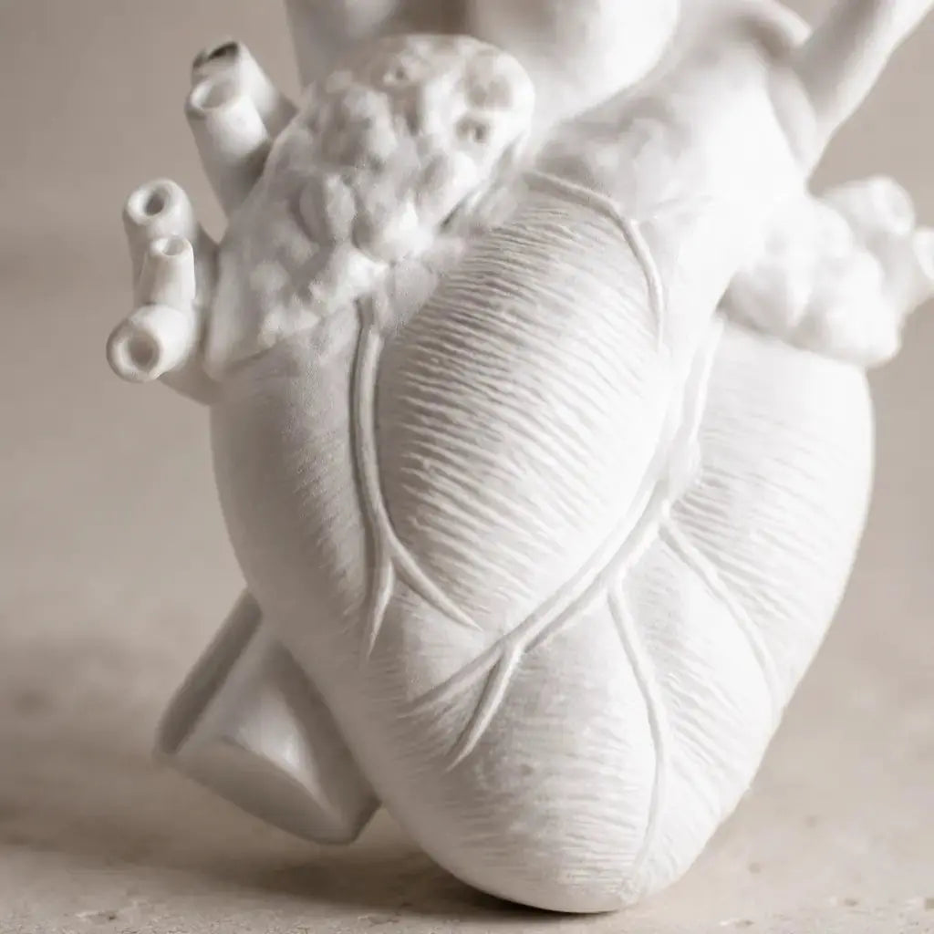Anatomical Heart Ceramic Art Vase sculpted texture close-up