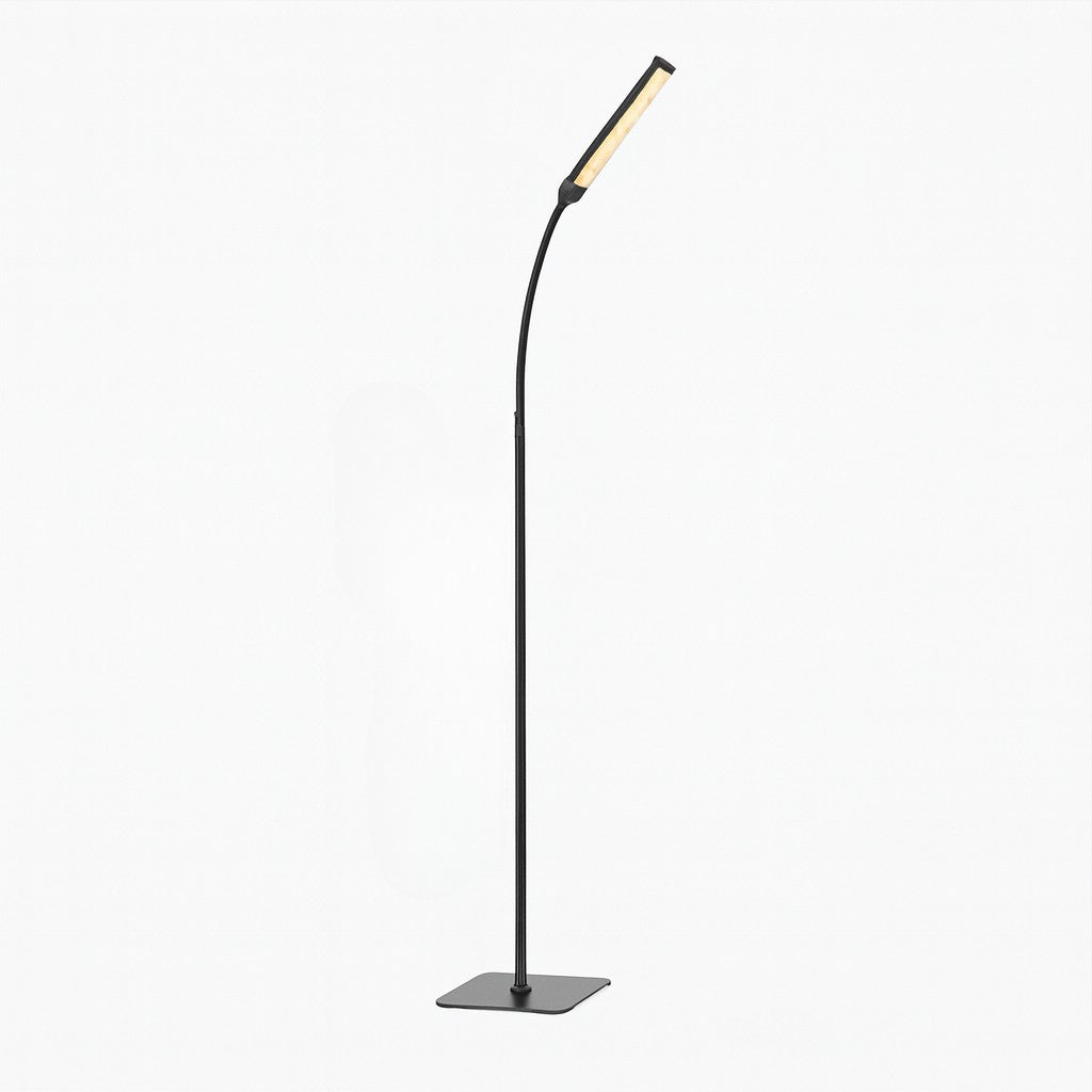 Black Standing Light - Nordic LED Floor Lamp