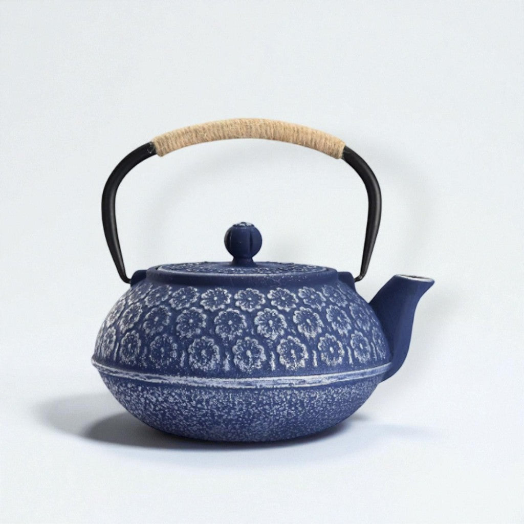 Cast Iron Teapot Japanese Style with Infuser