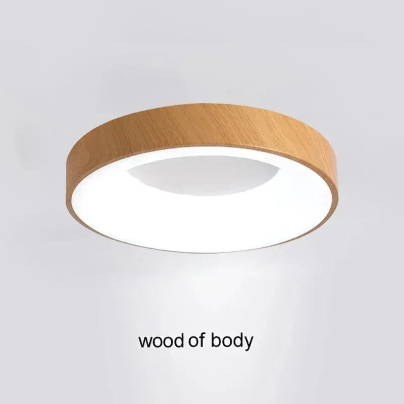 Circular Metal LED Ceiling Light