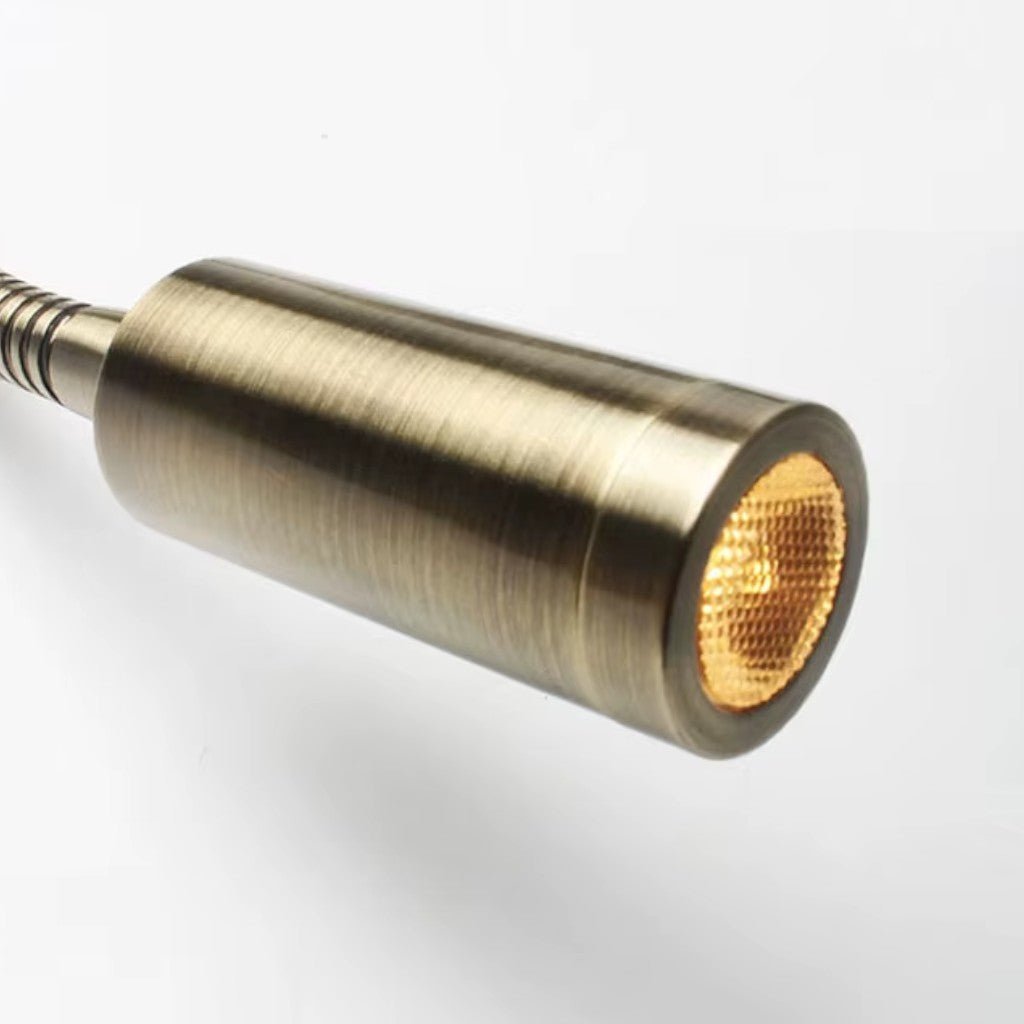 FlexiBeam Adjustable Gooseneck Wall Lamp