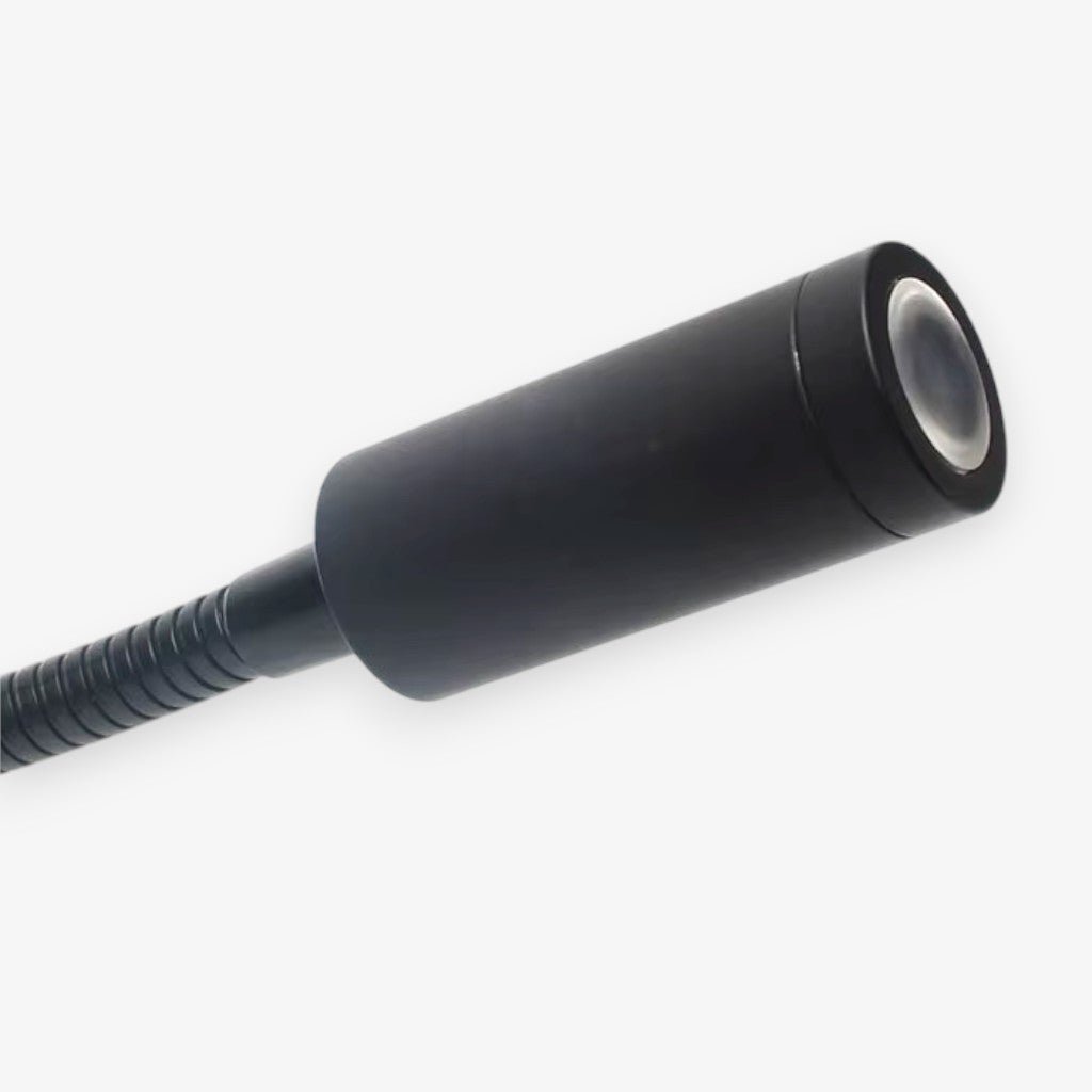 FlexiBeam Adjustable Gooseneck Wall Lamp