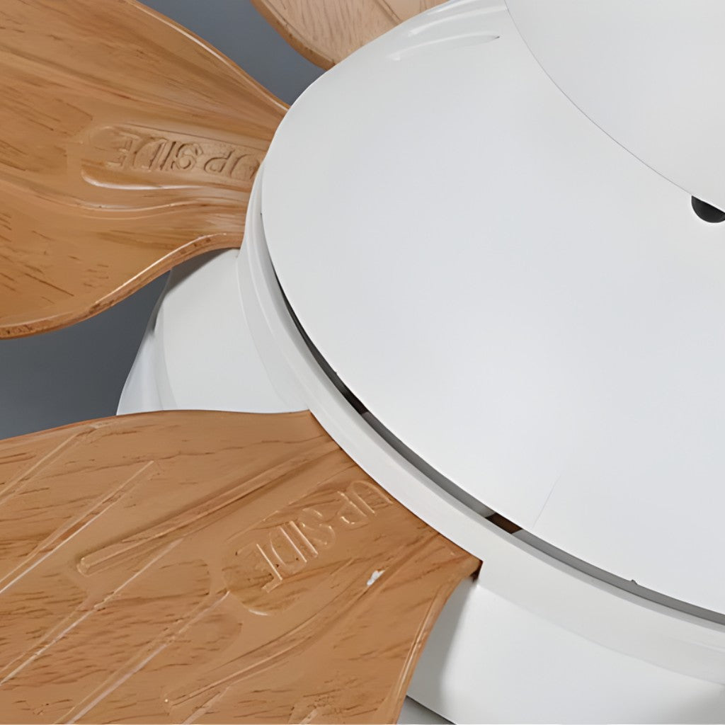 LED Ceiling Fan Lamp with Remote Control – No Wiring Needed