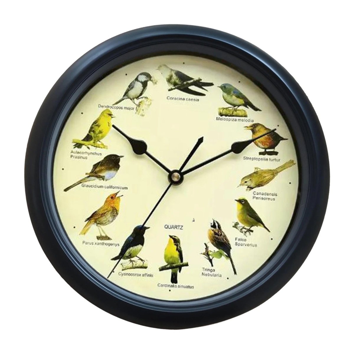 Wall Clock Decorative Timepiece Bird Chirping Sounds - Lattea Global