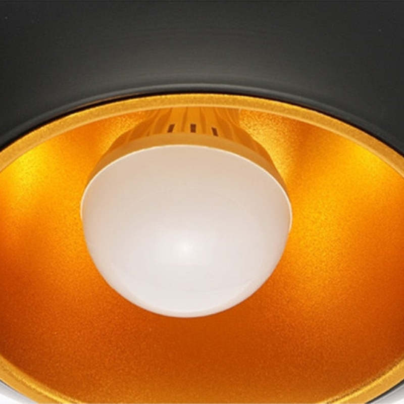 Contemporary Fancy LED Pendant Light