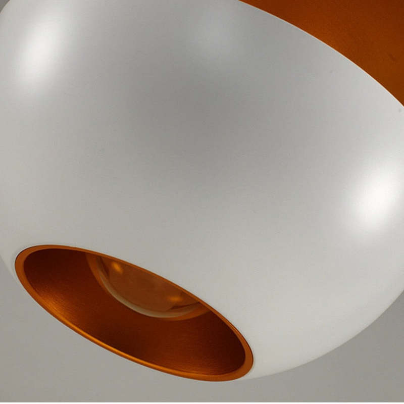 Contemporary Fancy LED Pendant Light