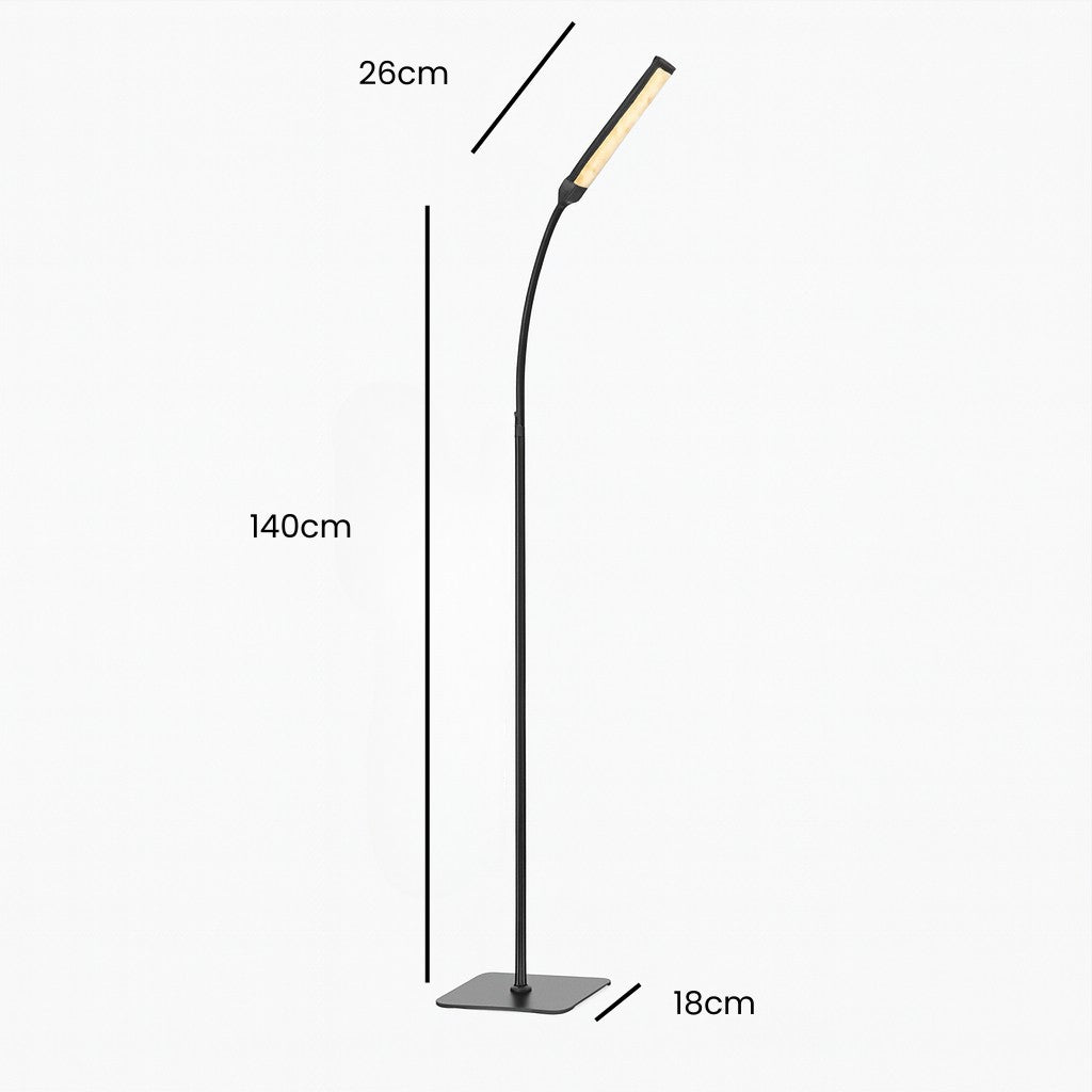 Black Standing Light - Nordic LED Floor Lamp