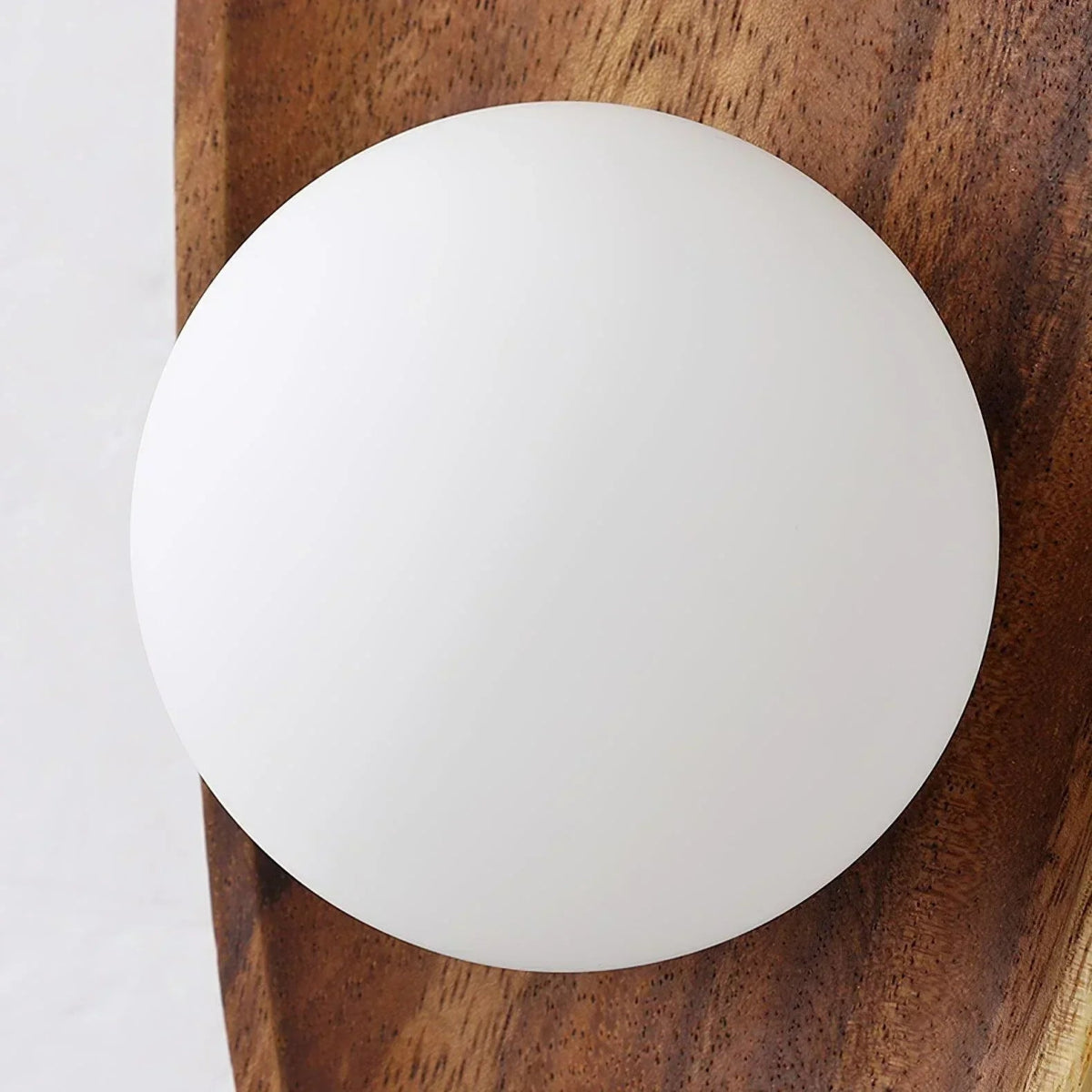 Globe Wall Light with Solid Wood Base - Lattea Global