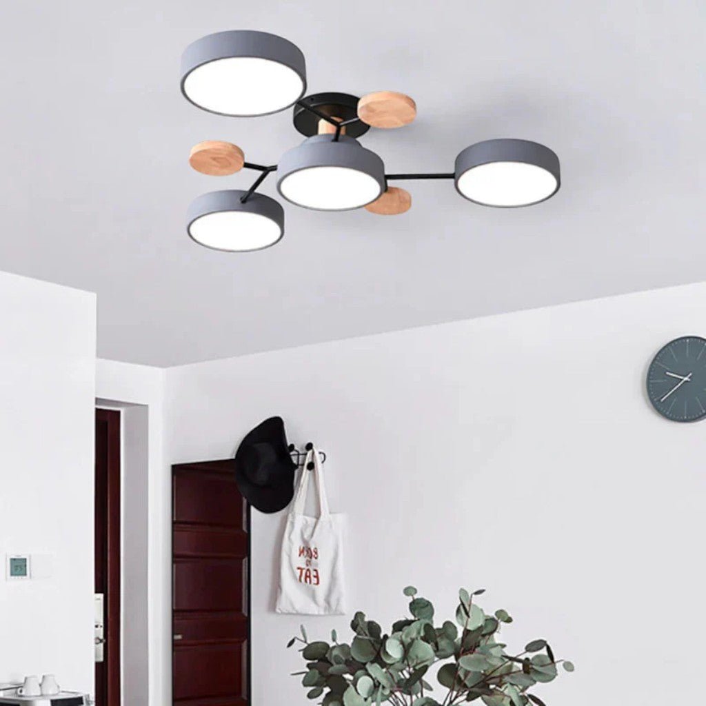 Hydra Multi Round Head Living Room Ceiling Light - Lattea Global