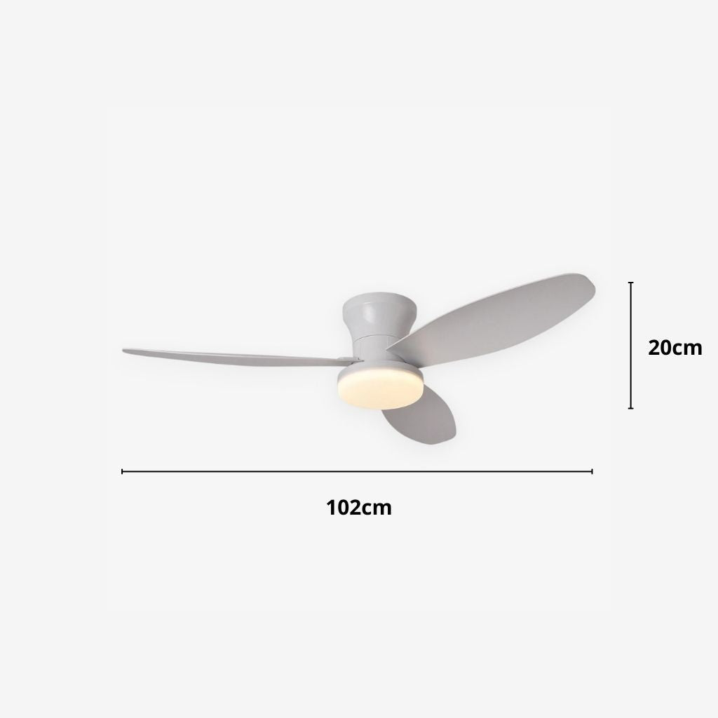 Nordic LED Remote Ceiling Fan Light