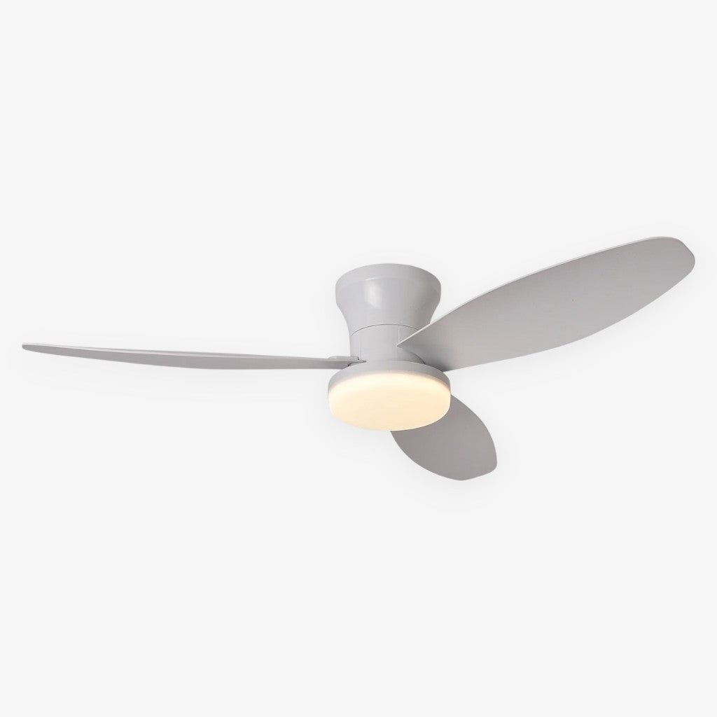 Nordic LED Remote Ceiling Fan Light