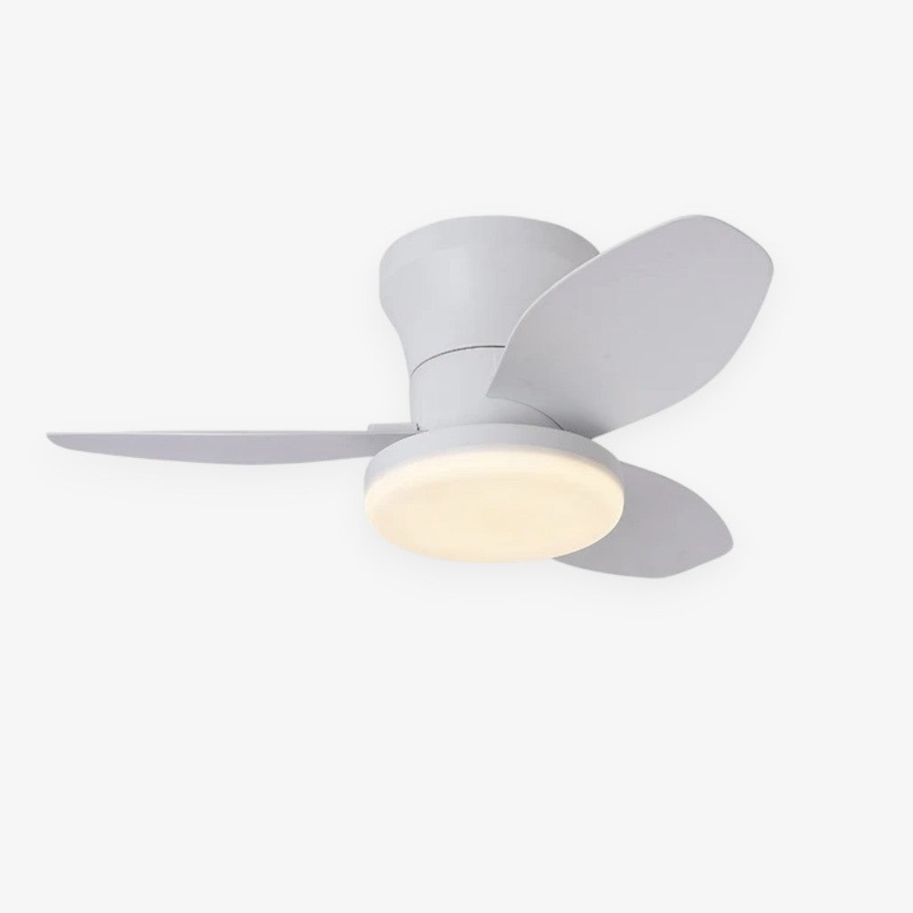 Nordic LED Remote Ceiling Fan Light
