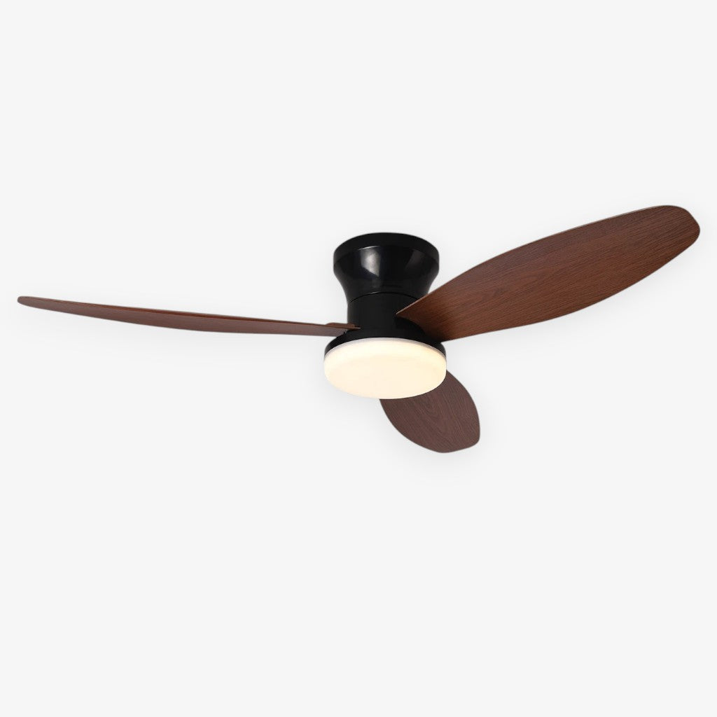 Nordic LED Remote Ceiling Fan Light