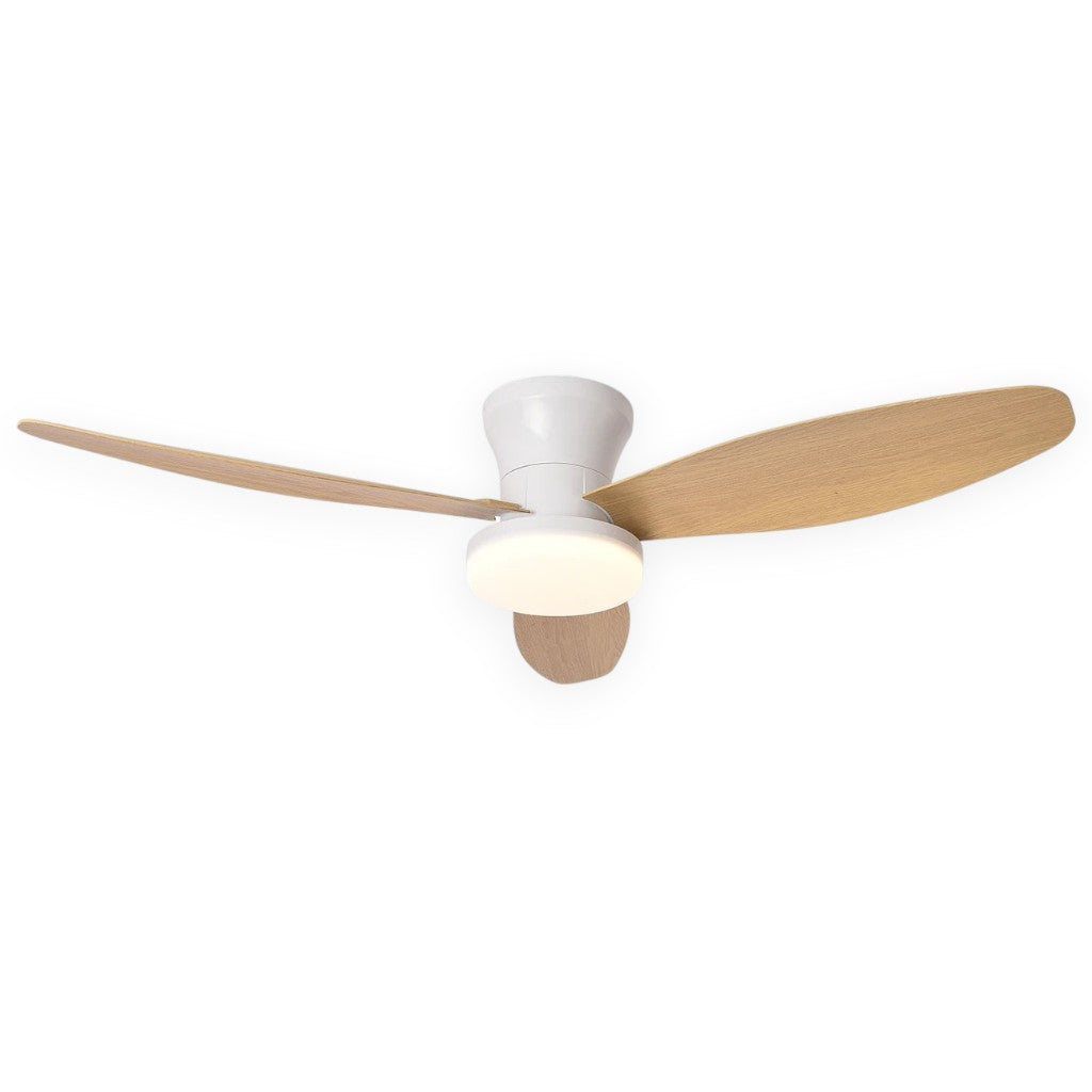 Nordic LED Remote Ceiling Fan Light