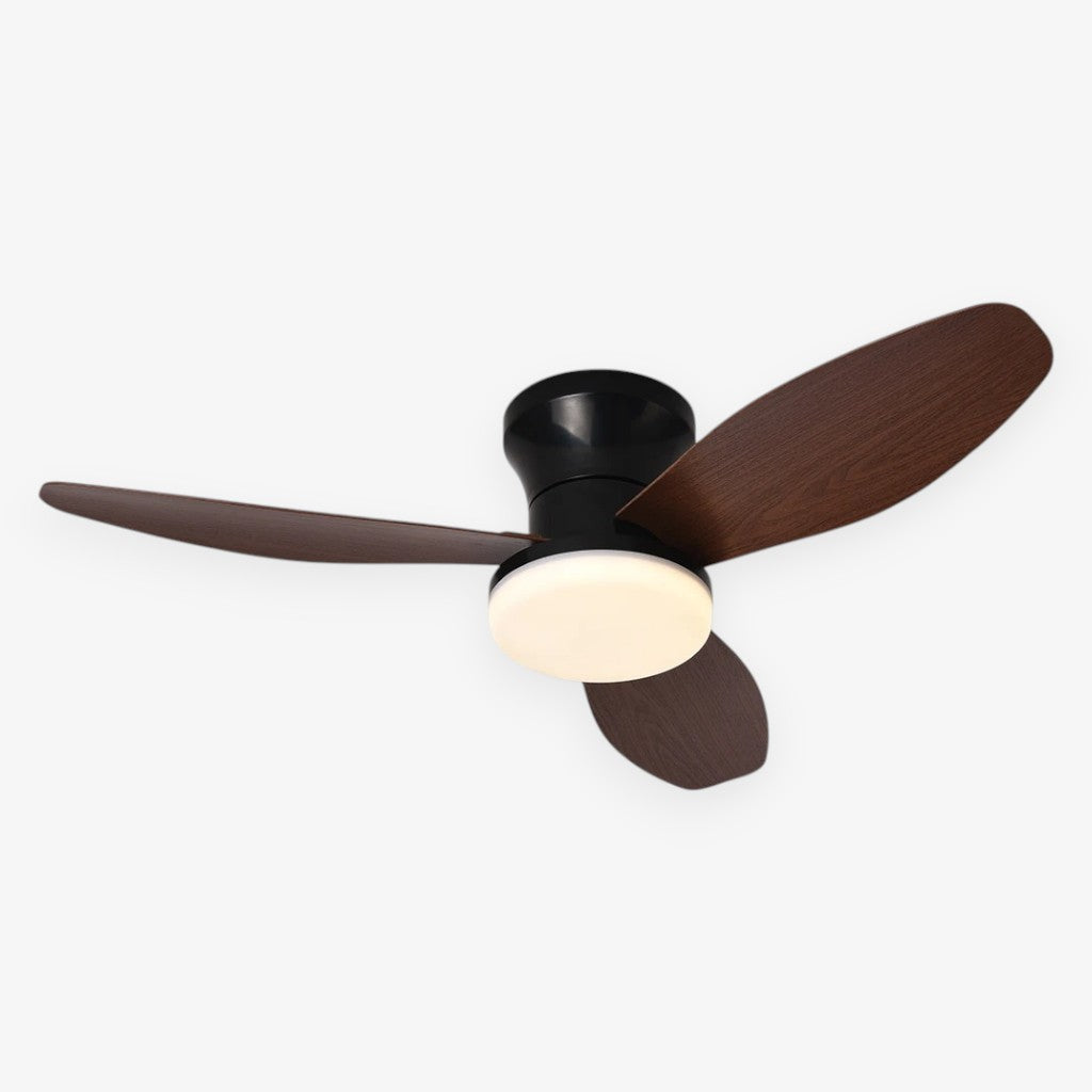 Nordic LED Remote Ceiling Fan Light