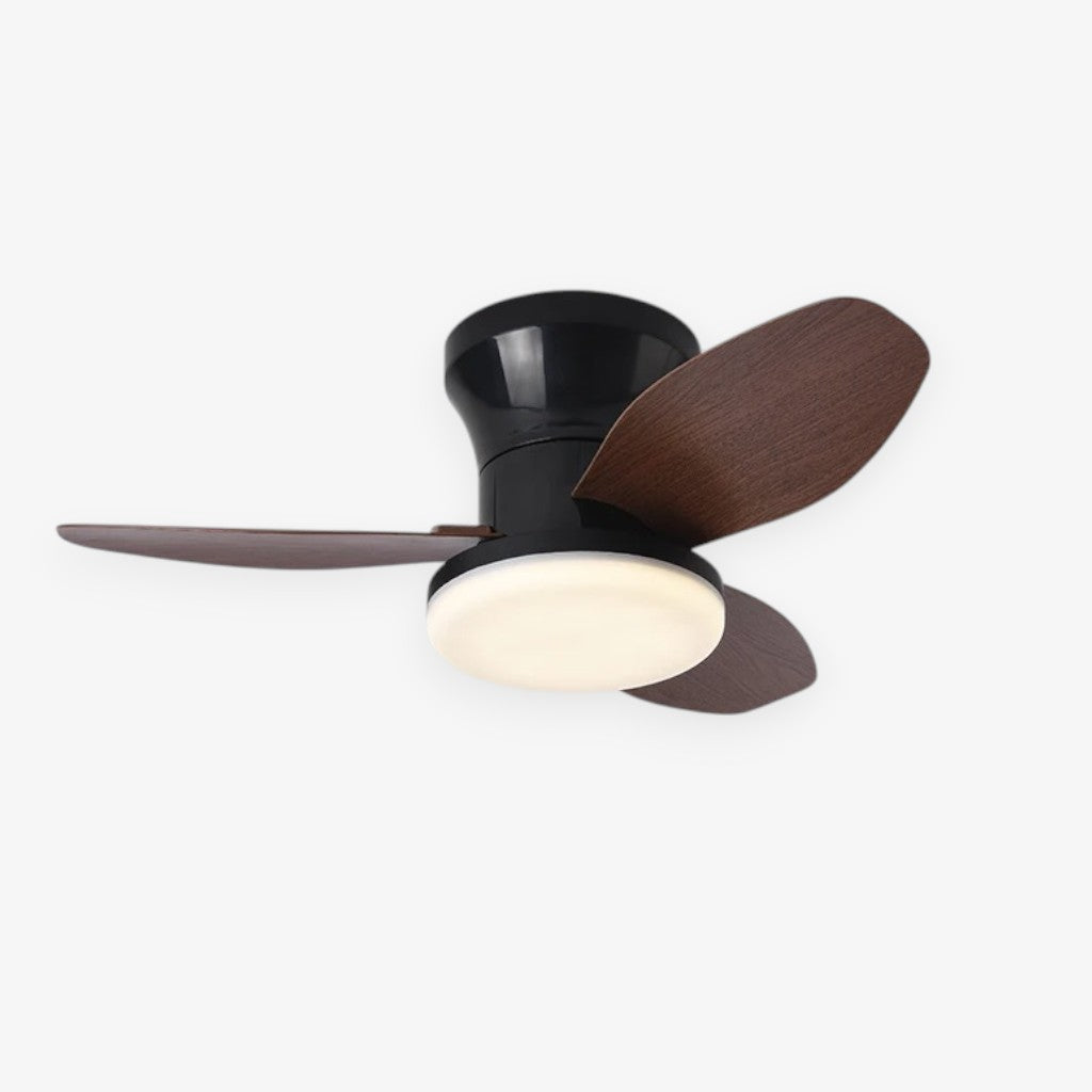 Nordic LED Remote Ceiling Fan Light