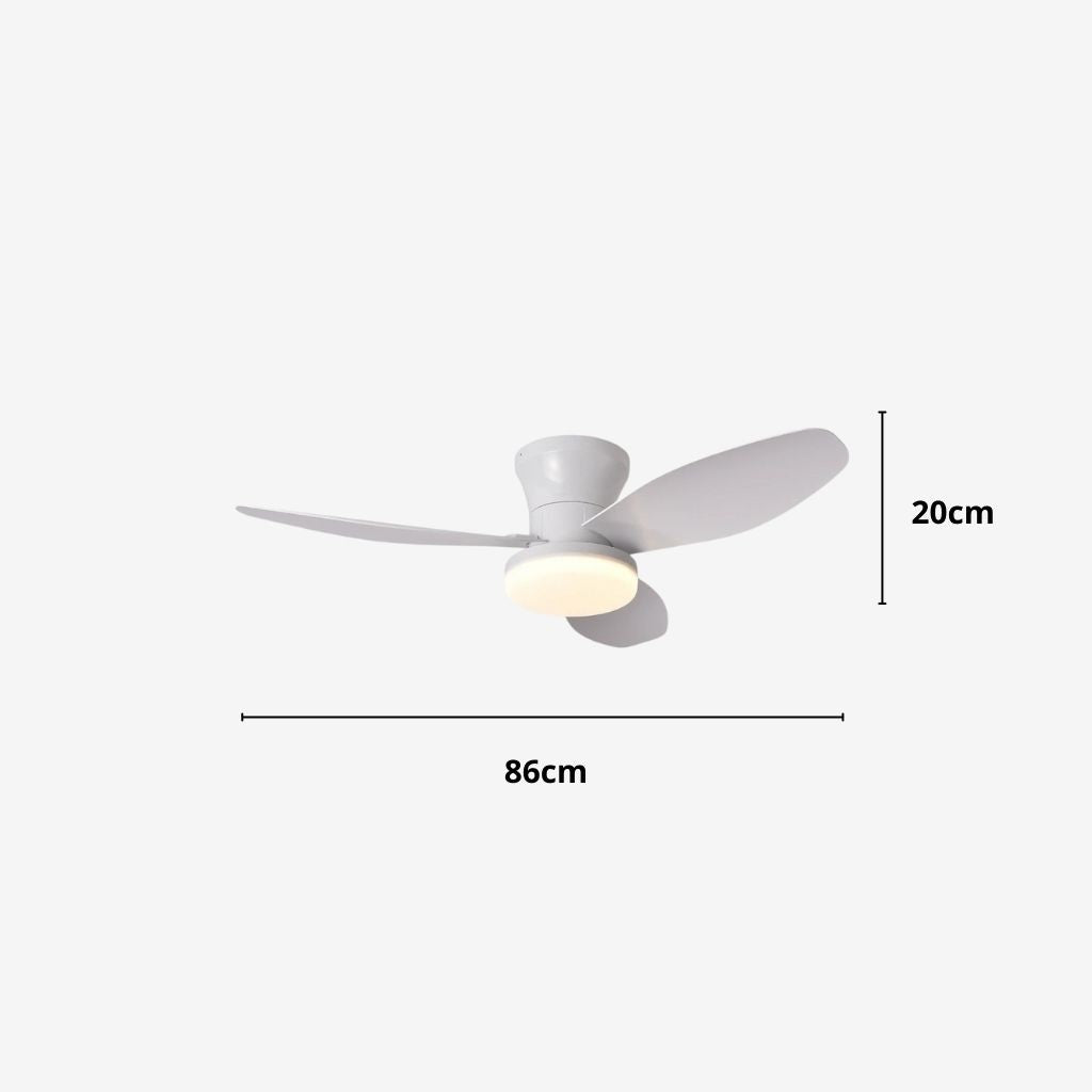 Nordic LED Remote Ceiling Fan Light