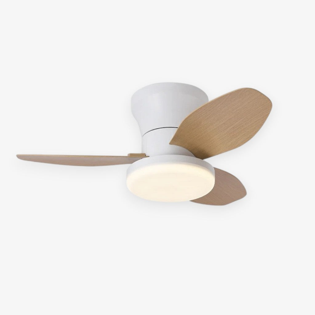 Nordic LED Remote Ceiling Fan Light