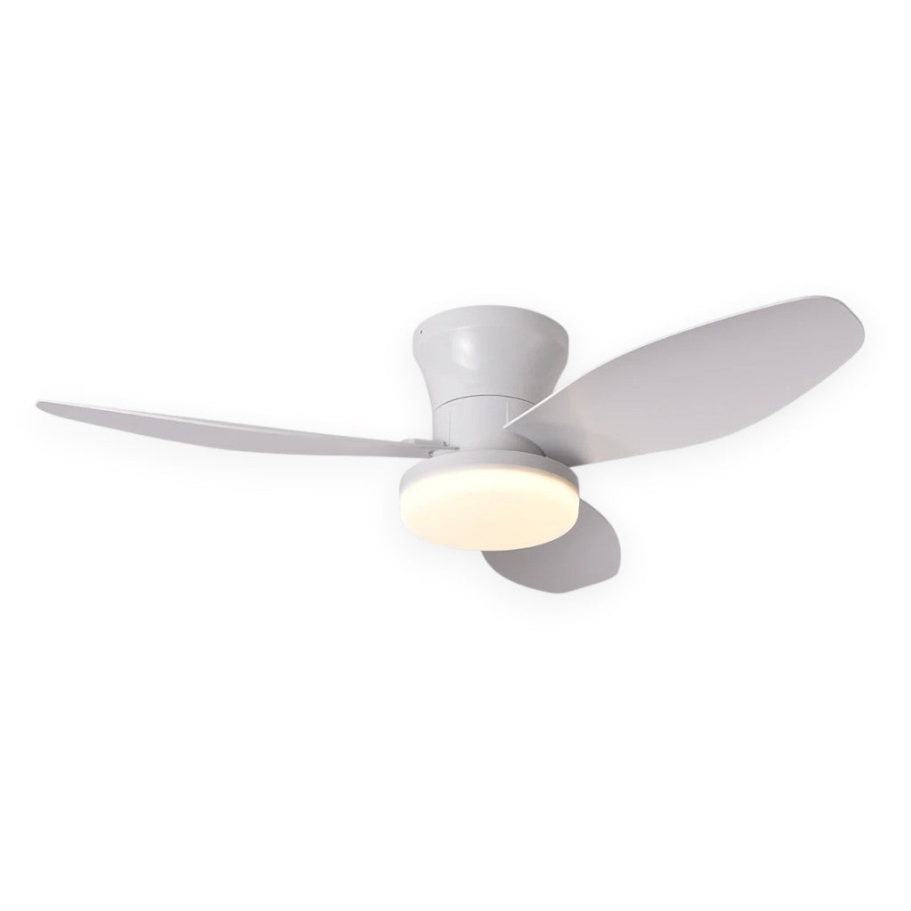 Nordic LED Remote Ceiling Fan Light