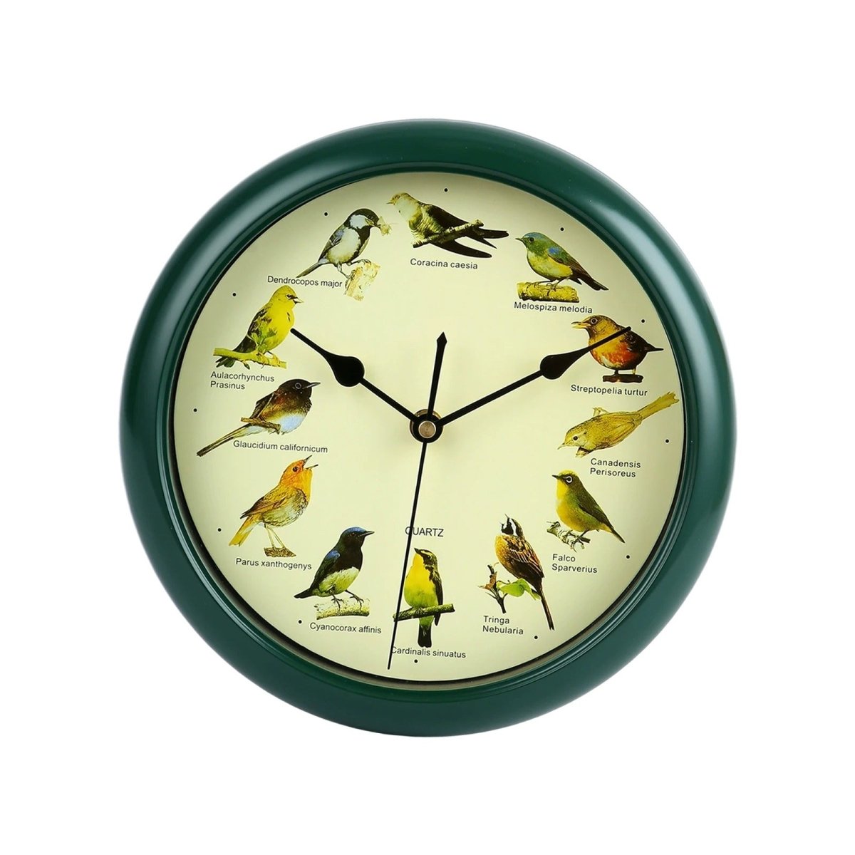 Wall Clock Decorative Timepiece Bird Chirping Sounds - Lattea Global