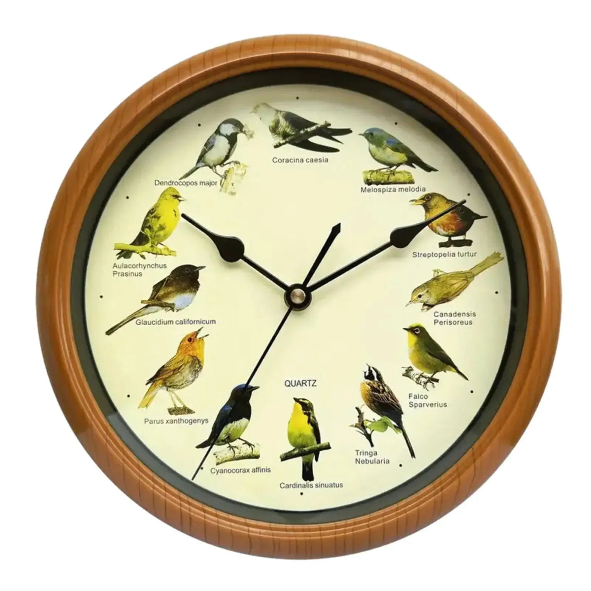 Wall Clock Decorative Timepiece Bird Chirping Sounds - Lattea Global