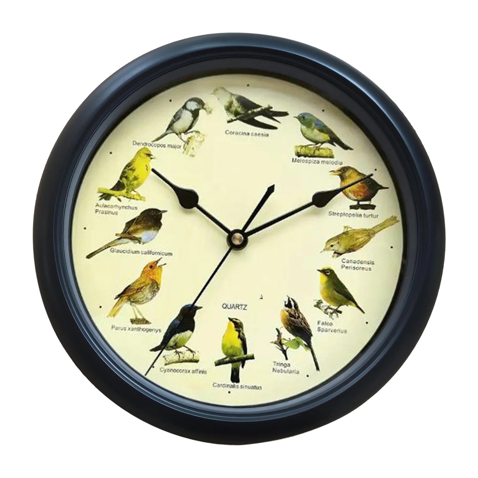 Wall Clock Decorative Timepiece Bird Chirping Sounds