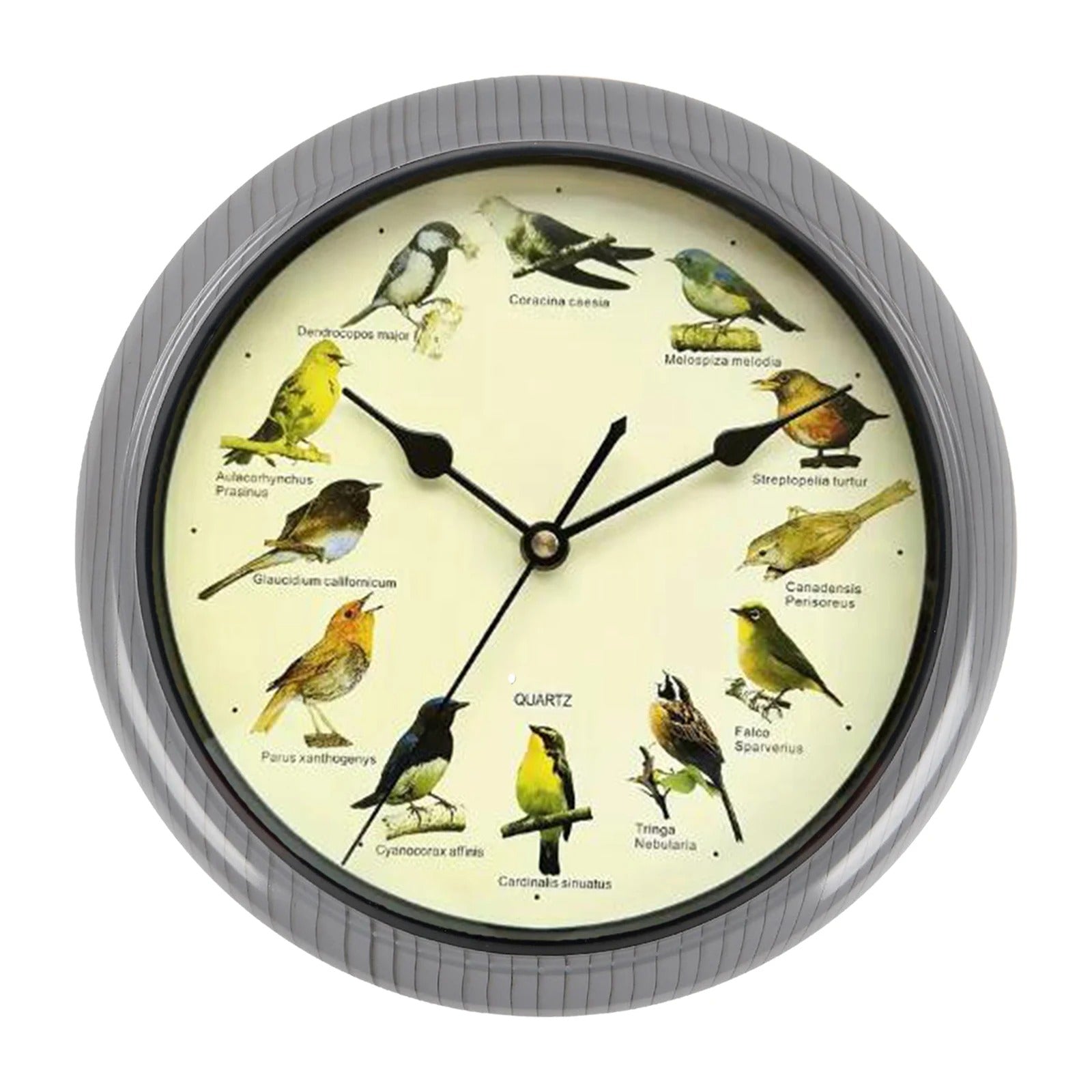 Wall Clock Decorative Timepiece Bird Chirping Sounds