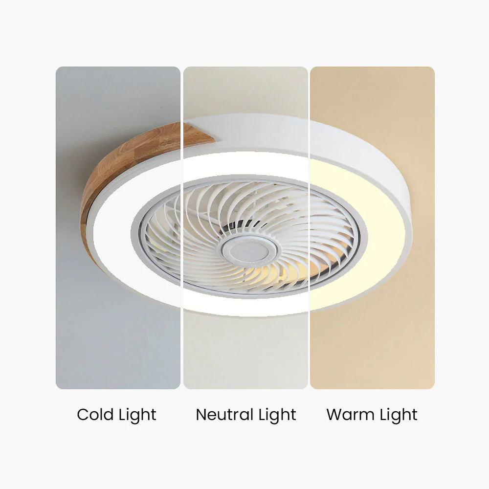 Wood Ceiling Fans with LED Lights - Lattea